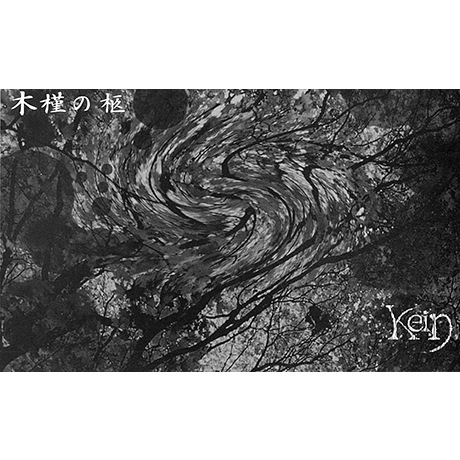 木槿の柩